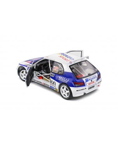 Peugeot 306 Maxi   Č.1  Rallye Monte Carlo 1996  F.Delecour - M.Sauvage